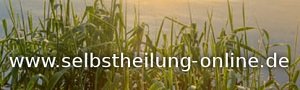 Selbstheilung online